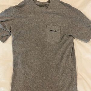 Patagonia tee